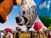 balloon-16-of-17