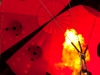 balloon-8-of-17