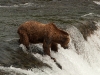 alaska-20-of-40