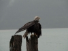 alaska-27-of-40