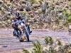 me-on-the-road-from-oatman-copy