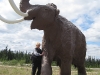 whitehorse museum
