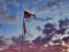 OC Bird with Old Glory in the AZ sunset