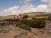 Home of the famous Jalama Burger