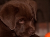 murphy_-20100505-_12-4